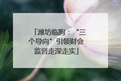 潍坊临朐：“三个导向”引领财会监督走深走实