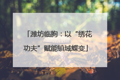 潍坊临朐：以“绣花功夫”赋能镇域蝶变