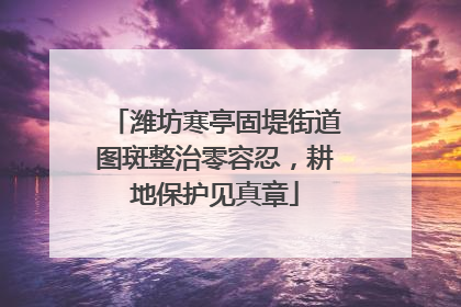 潍坊寒亭固堤街道图斑整治零容忍，耕地保护见真章