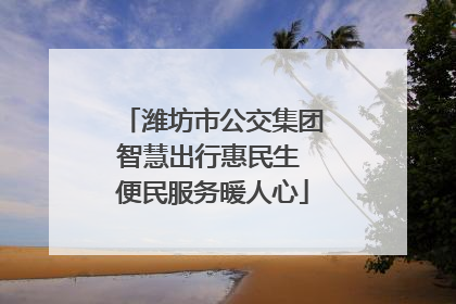 潍坊市公交集团智慧出行惠民生 便民服务暖人心
