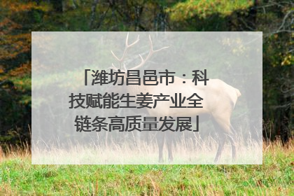 潍坊昌邑市：科技赋能生姜产业全链条高质量发展