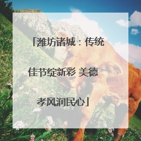潍坊诸城：传统佳节绽新彩 美德孝风润民心
