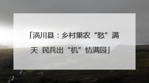 潢川县：乡村果农“愁”满天  民兵出“机”情满园