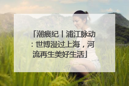潮痕纪丨浦江脉动：世博漫过上海，河流再生美好生活