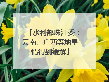 水利部珠江委：云南、广西等地旱情得到缓解