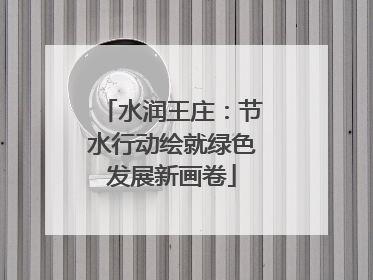 水润王庄：节水行动绘就绿色发展新画卷