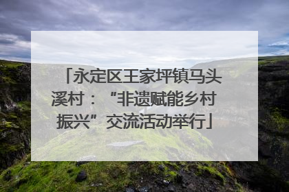 永定区王家坪镇马头溪村：“非遗赋能乡村振兴”交流活动举行