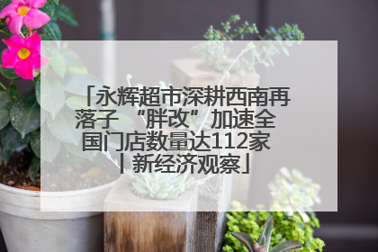 永辉超市深耕西南再落子 “胖改”加速全国门店数量达112家丨新经济观察