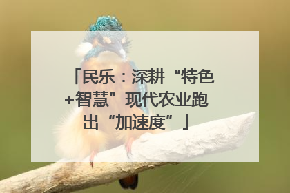 民乐：深耕“特色+智慧”现代农业跑出“加速度”