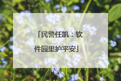 民警任凯：软件园里护平安