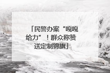 民警办案“嘎嘎给力”！群众称赞送定制锦旗