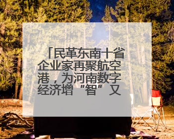 民革东南十省企业家再聚航空港，为河南数字经济增“智”又增“势”