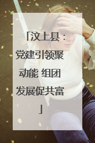 汶上县：党建引领聚动能 组团发展促共富