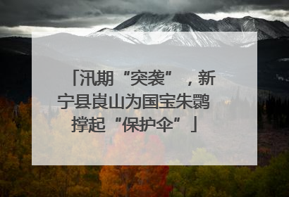 汛期“突袭”，新宁县崀山为国宝朱鹮撑起“保护伞”