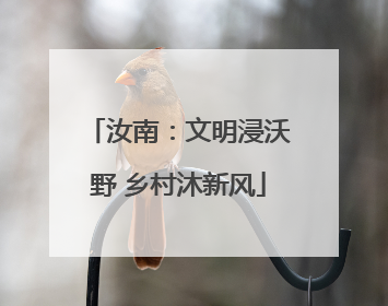 汝南：文明浸沃野 乡村沐新风