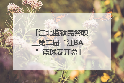 江北监狱民警职工第二届“江BA”篮球赛开幕