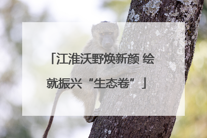 江淮沃野焕新颜 绘就振兴“生态卷”