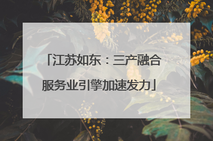 江苏如东：三产融合 服务业引擎加速发力