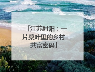 江苏射阳：一片桑叶里的乡村共富密码