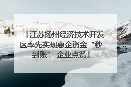 江苏扬州经济技术开发区率先实现惠企资金“秒到账” 企业点赞
