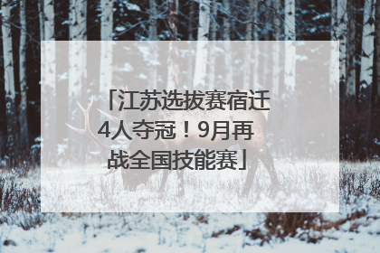 江苏选拔赛宿迁4人夺冠！9月再战全国技能赛