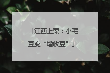 江西上栗：小毛豆变“增收豆”