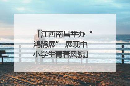 江西南昌举办“鸿鹄展” 展现中小学生青春风貌
