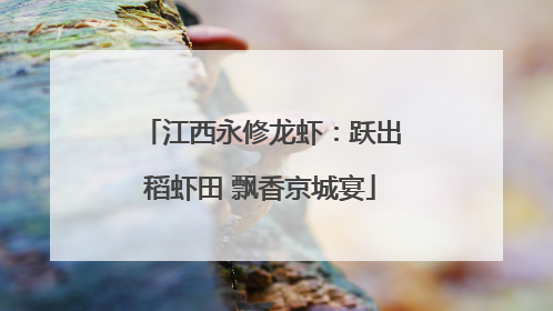 江西永修龙虾：跃出稻虾田 飘香京城宴