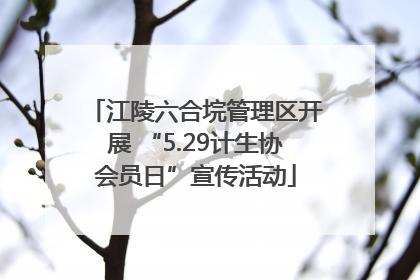 江陵六合垸管理区开展 “5.29计生协会员日”宣传活动