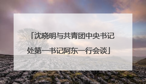 沈晓明与共青团中央书记处第一书记阿东一行会谈
