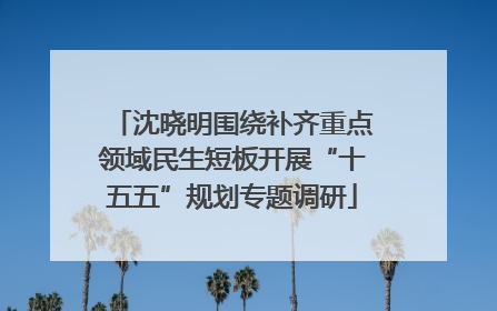 沈晓明围绕补齐重点领域民生短板开展“十五五”规划专题调研