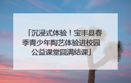 沉浸式体验！宝丰县春季青少年陶艺体验进校园公益课堂圆满结课