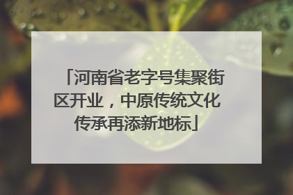 河南省老字号集聚街区开业，中原传统文化传承再添新地标