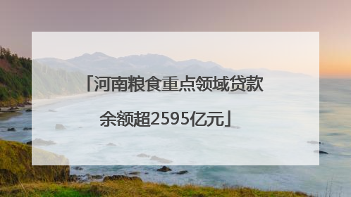 河南粮食重点领域贷款余额超2595亿元