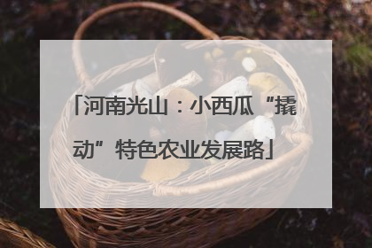 河南光山：小西瓜“撬动”特色农业发展路