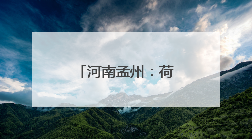 河南孟州：荷香引得游客来