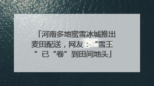 河南多地蜜雪冰城推出麦田配送，网友：“雪王”已“卷”到田间地头