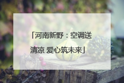 河南新野：空调送清凉 爱心筑未来