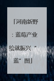 河南新野：蓝莓产业绘就振兴“蓝”图