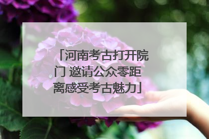 河南考古打开院门 邀请公众零距离感受考古魅力