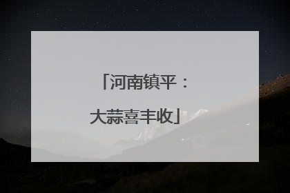 河南镇平：大蒜喜丰收
