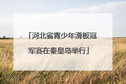 河北省青少年滑板冠军赛在秦皇岛举行