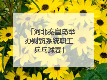 河北秦皇岛举办财贸系统职工乒乓球赛