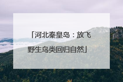 河北秦皇岛：放飞野生鸟类回归自然