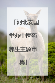 河北安国举办中医药养生主题市集