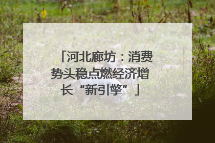 河北廊坊：消费势头稳点燃经济增长“新引擎”