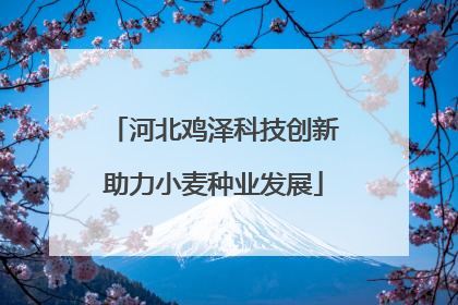 河北鸡泽科技创新助力小麦种业发展
