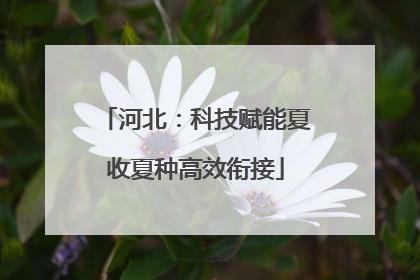 河北：科技赋能夏收夏种高效衔接