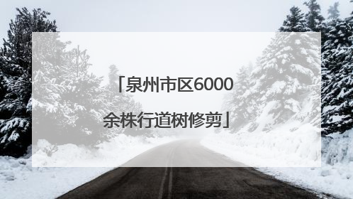 泉州市区6000余株行道树修剪