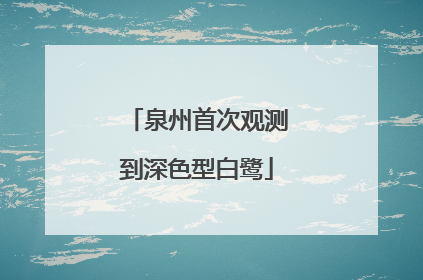 泉州首次观测到深色型白鹭